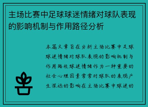 主场比赛中足球球迷情绪对球队表现的影响机制与作用路径分析